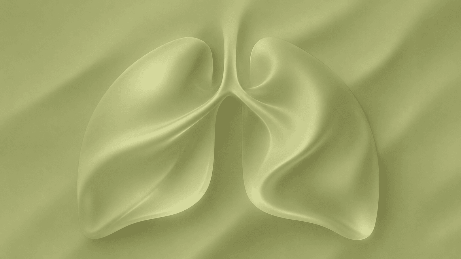 Background Verde Desktop